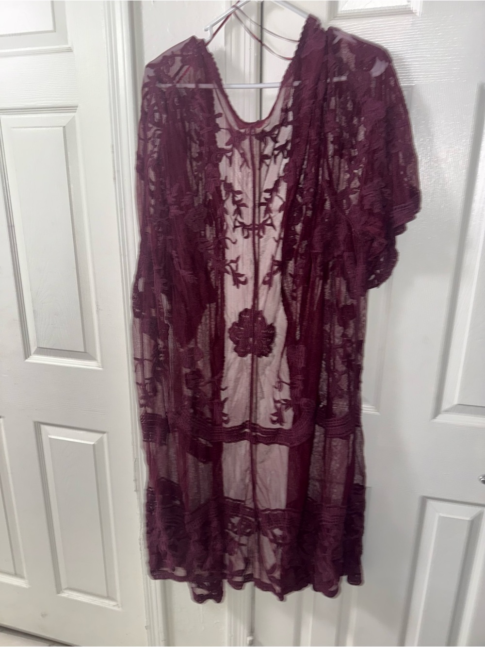 Dizzy Sheer Floral Embroidered Lace Chemise - Burgundy